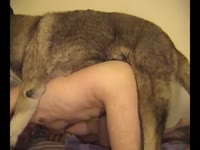 Gay beastiality lover getting fucked in dog anal sex